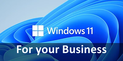 Windows 11 Feature for Business