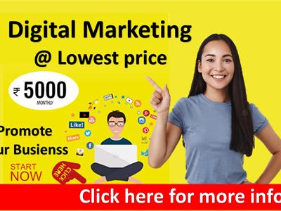Image of Digital Marketing Services For Small Business - 1