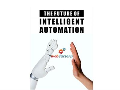 Business Automation Consultant