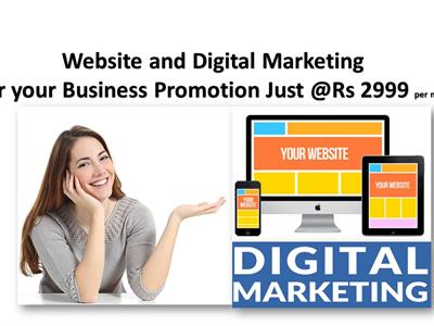 Business Website with Digital Marketing Combo Pack